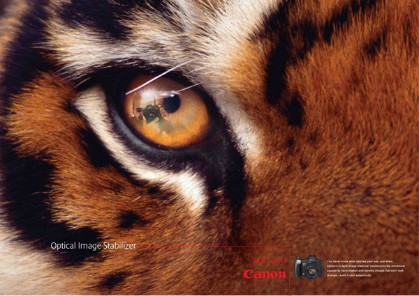 camera photography ads 22