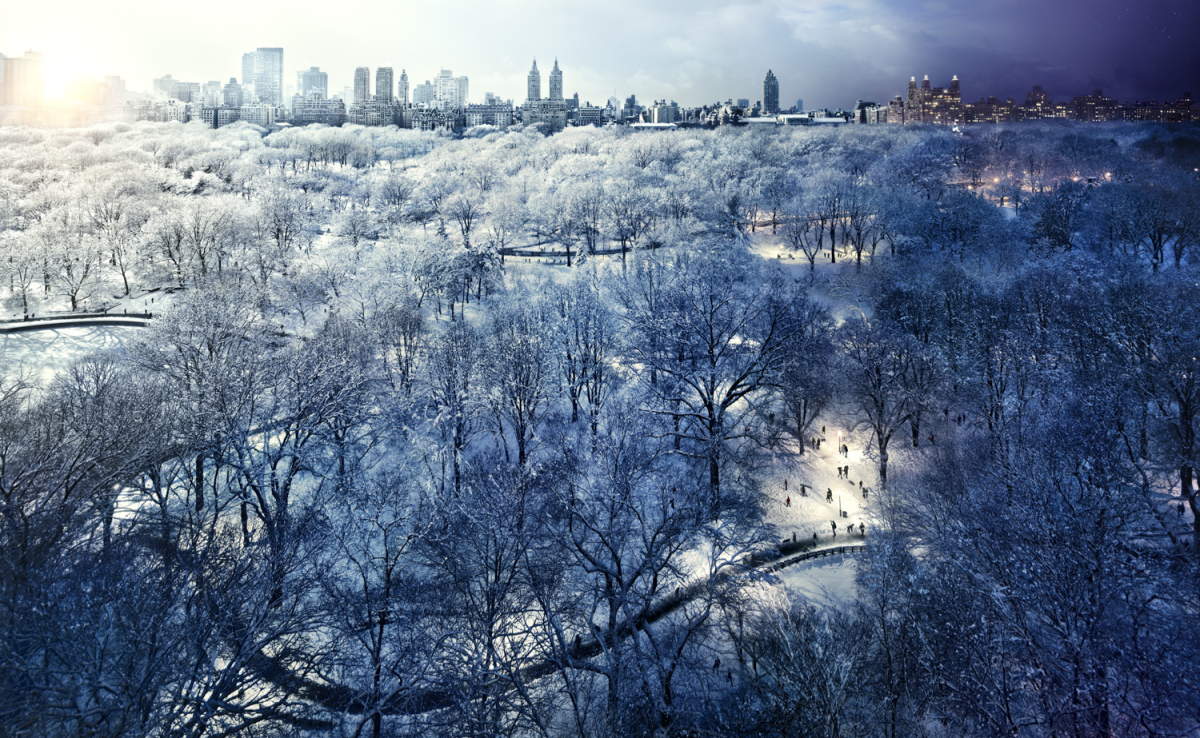 10day to night central park winter