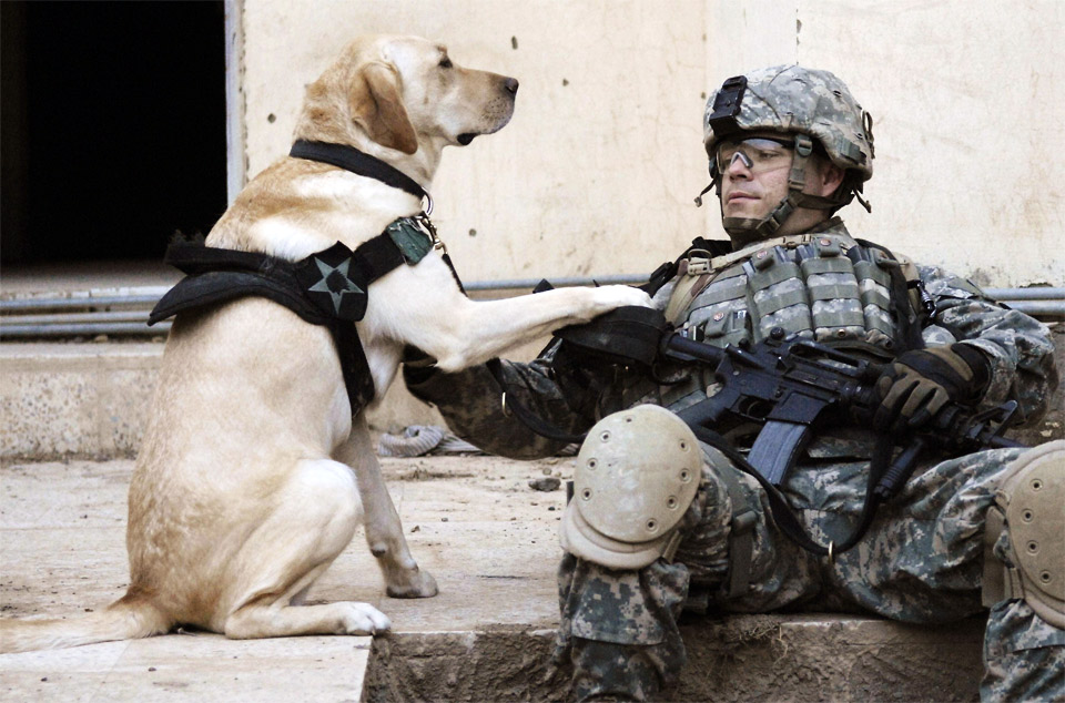 4a-soldier-and-his-dog-in-iraq