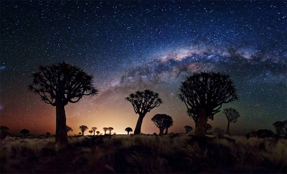 11milky-way-over-quiver-tree-forest