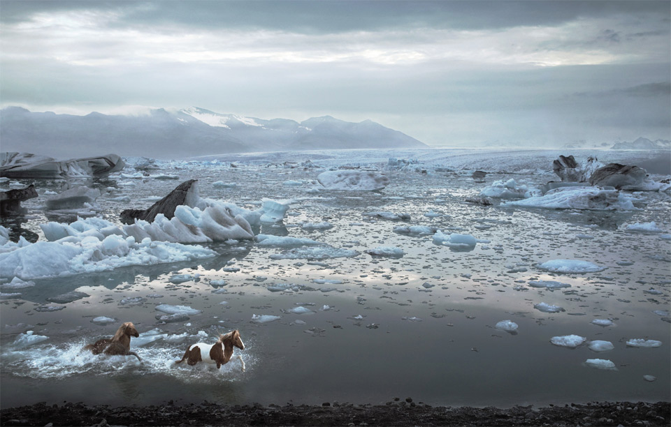2horses-of-iceland-lagoon
