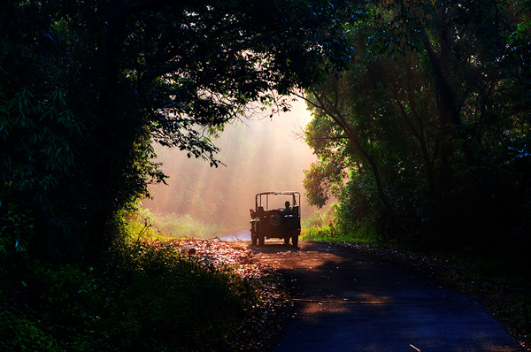 Kerala – The Photographer’s Own Country