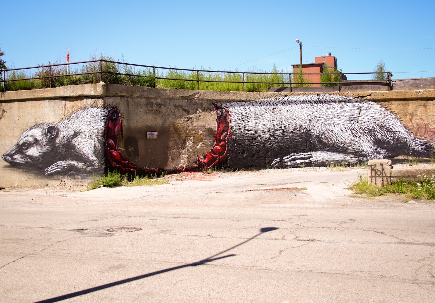 By ROA – In Pilsen, Chicago, USA