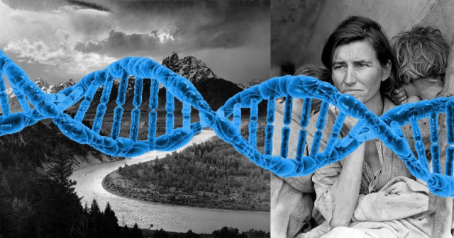 Учёные придумали, как хранить цифровые фотографии с помощью молекулы ДНК