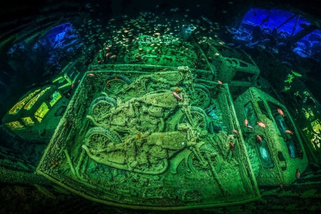 Победители конкурса подводной фотографии в 2018 году