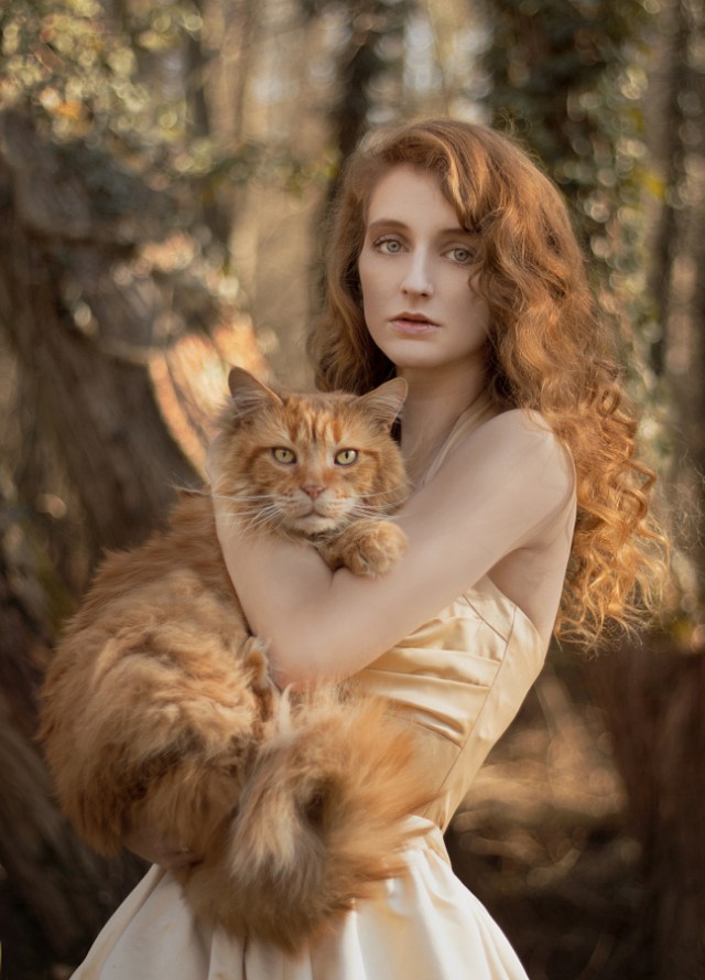 Леди с кошками – портреты, полные шикарности и очарования