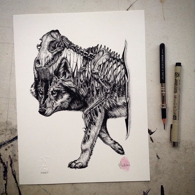 Мрачные рисунки животных, которые напоминают уроки анатомии. Художник Пол Джексон