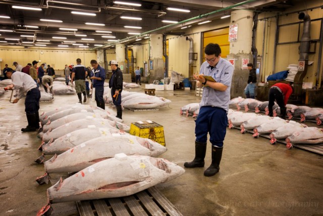 Цукидзи – один из крупнейших рыбных рынков в мире