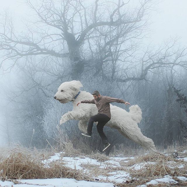 Беззаботные фотографии гигантской собаки в фотошопном творчестве Криса Клайна