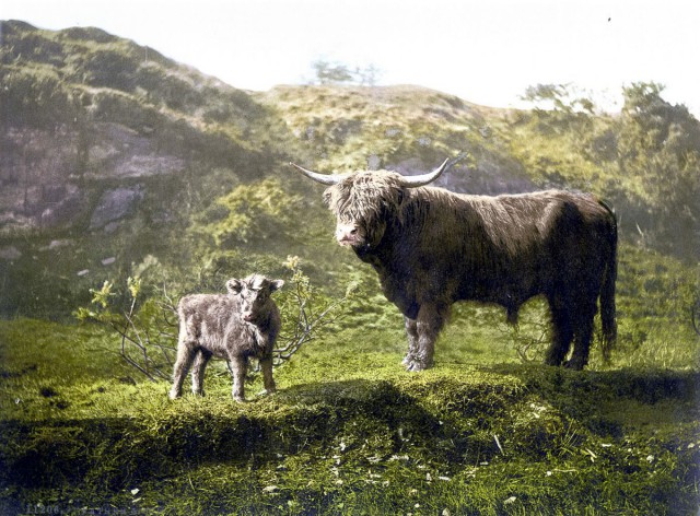 Цветные открытки Шотландии 1890 года: города, природные пейзажи, замки и люди