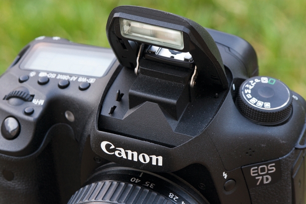 Сравнение Canon 7D и 6D: достоинства и недостатки.