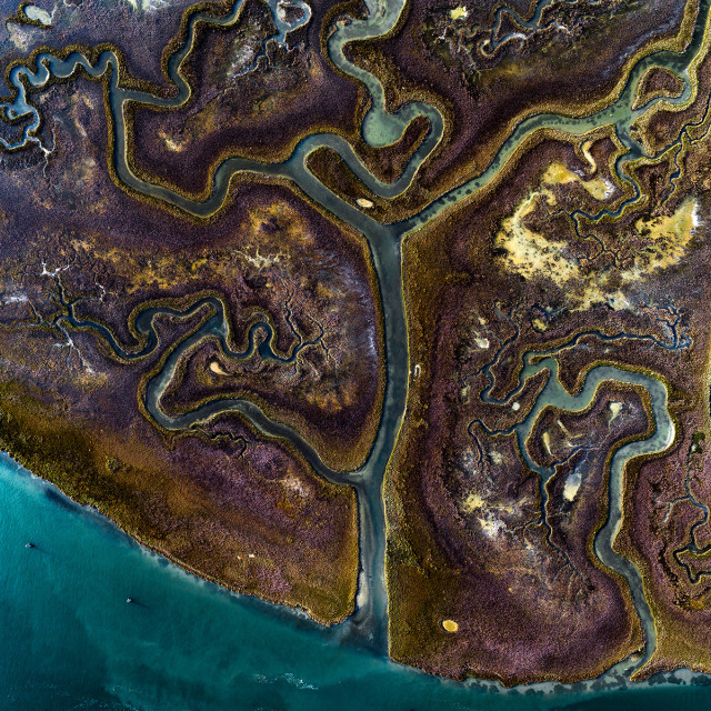 «Вода. Формы. Земля» – проект об абстрактной красоте извилистых водных путей