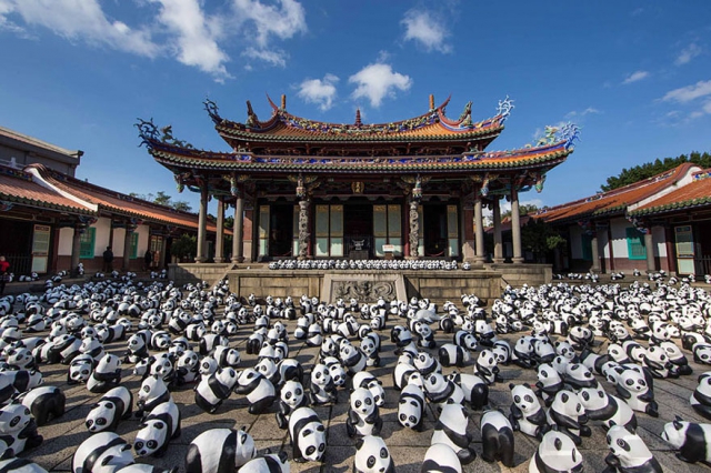 1600 панд из папье-маше на экскурсии по всему миру
