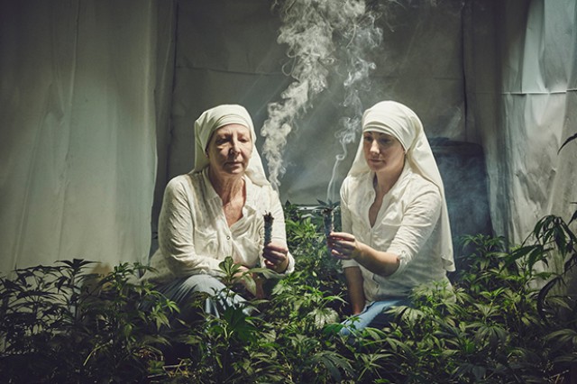 «Сёстры долины» – монахини, которые выращивают коноплю, чтобы помогать людям