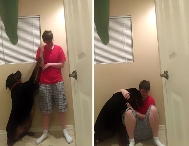 Собака спасает свою хозяйку с синдромом Аспергера, когда она теряет самоконтроль