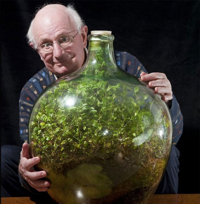 Уникальный сад в герметичной бутылке 80-летнего Дэвида Латимера