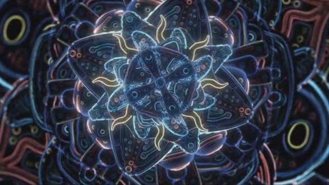 Как раскрывается космический цветок - метафизическое видео Бена Риджвея