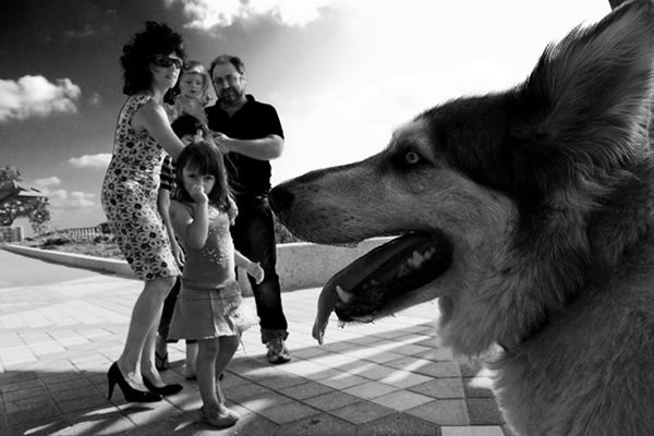 Обычная жизнь глазами израильского фотографа Саги Кортлера