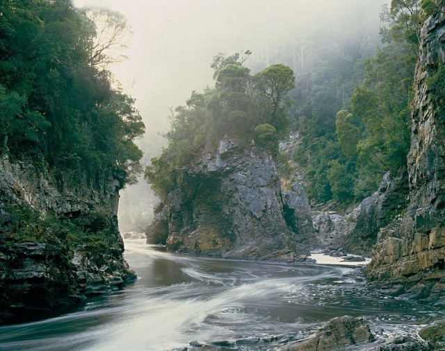 Первобытная красота Тасмании в фотографиях Питера Домбровскиса