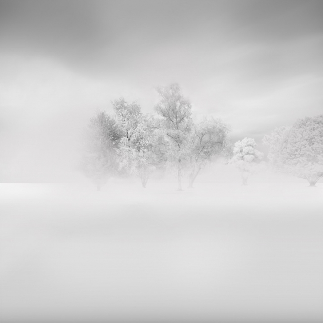 Белое безмолвие в живописных пейзажах фотографа Вассилиса Тангоулиса (Vassilis Tangoulis)