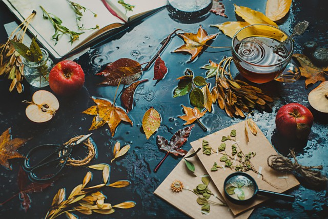 Студийная съёмка красивого осеннего натюрморта с дождём. Советы и идеи от Дины Беленко