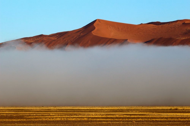 Утренний туман, окутывающий дюны пустыни Намиб