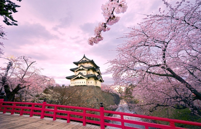 12 самых красивых фотографий Японии