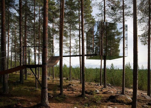 Дом-куб на дереве - необычный отель в Швеции