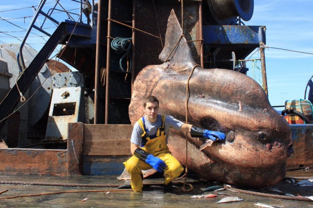 Моряк выкладывает фотографии самых странных рыб, пойманных траулером