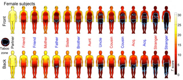 Учёные составили карту тела и отметили области, в которых женщины и мужчины не терпят прикосновений
