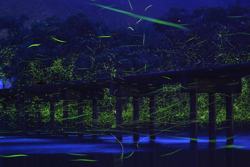 Природное световое шоу в Японии. Фотограф Такехито Миятаке