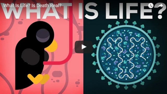 Что такое жизнь и насколько реальна смерть?