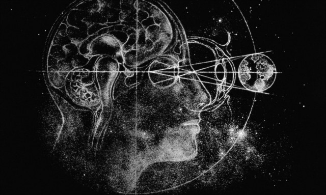 Вселенная мозга: Святослав Медведев о механизмах работы самого загадочного органа и связанных с ним мифах