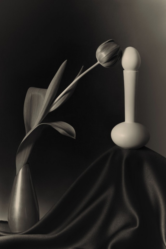 Искусство чёрно-белого натюрморта. Фотограф Уильям Кастеллана