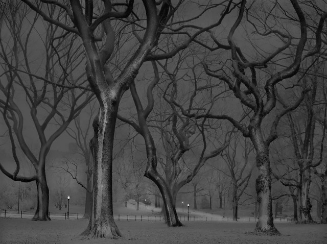 «В глубоком сне»: Центральный парк в снимках фотографа, страдающего бессонницей