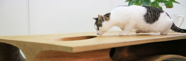 CATable: рай для кошек и рабочий стол
