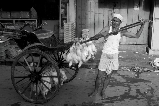 Последние рикши Калькутты в фотопроекте Палани Мохана