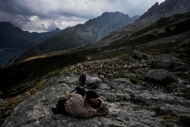 Работа мечты: как живёт пастух в Альпах