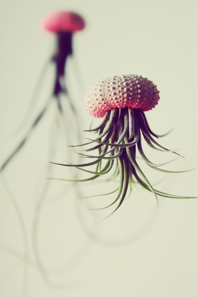 Воздушные медузы в креативных цветочных горшках