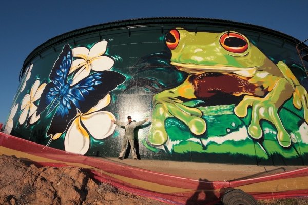 Необыкновенно впечатляющий стрит-арт от Гарта Янковича в Таунсвилле, Северный Квинсленд, Австралия