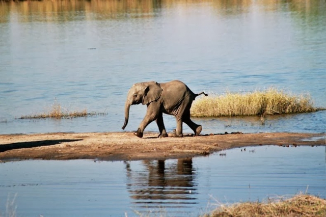 10 известных и интересных национальных парков Африки