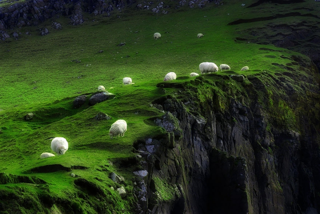 Колоритные пейзажи с овцами - 25 фото
