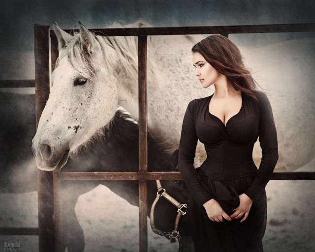 30 идеальных фотографий лошадей – грация, краса и сила