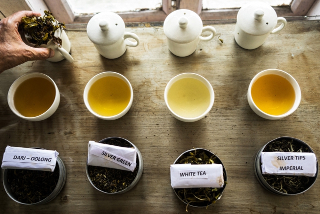 Фоторепортаж: как создают самый дорогой чай в Индии