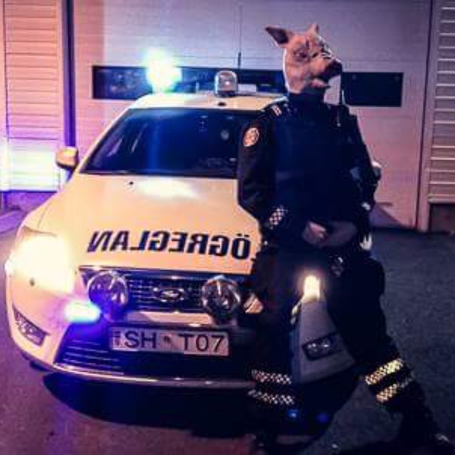 Нескучные будни полицейских Рейкьявика - фото с Instagram
