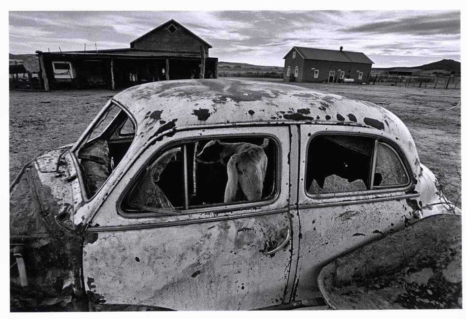 Жизненные документальные фотографии канадского мастера Ларри Тоуэлла
