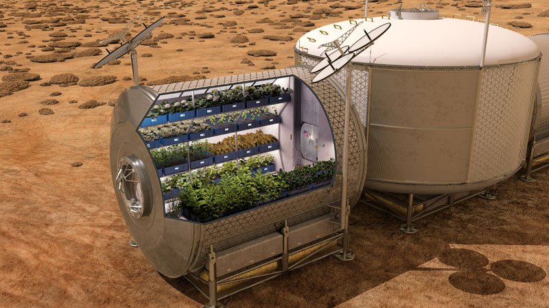 Астронавты впервые питаются овощами, которые выросли в космосе