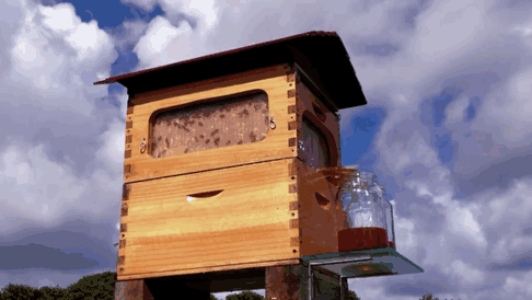 Новые ульи автоматически собирают мёд, чтобы не тревожить пчёл-11