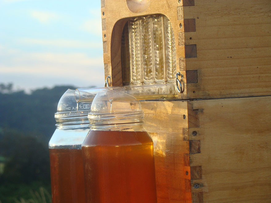 Новые ульи автоматически собирают мёд, чтобы не тревожить пчёл-2
