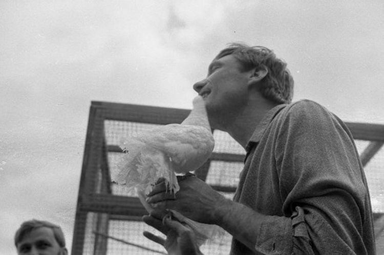 Любовь и голуби: 30 лет со дня выхода на экраны. Факты и редкие кадры из фильма